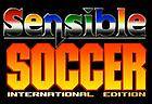 sensible-soccer-online